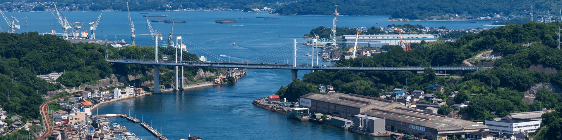 海外人材支援協同組合